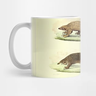 Pangolin Illustration Mug